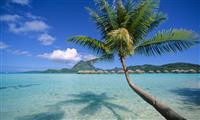Bora Bora - Pearl Beach